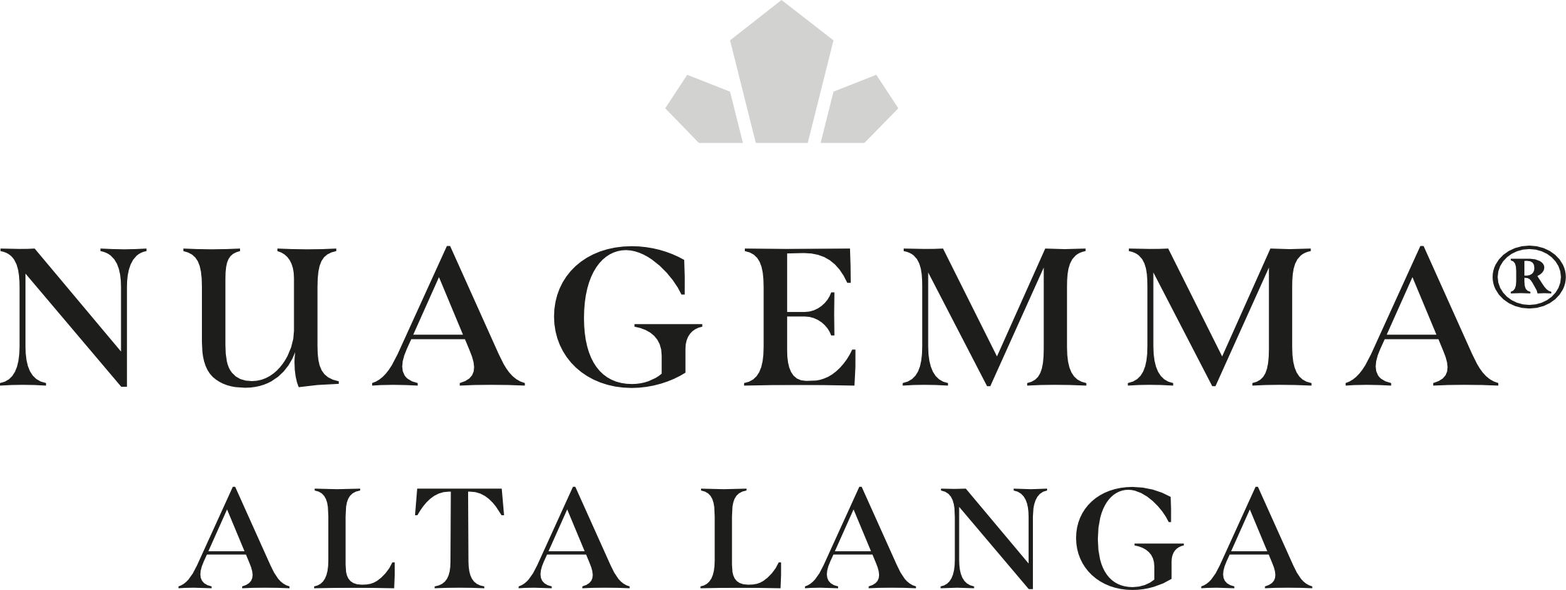 LOGO NUAGEMMA